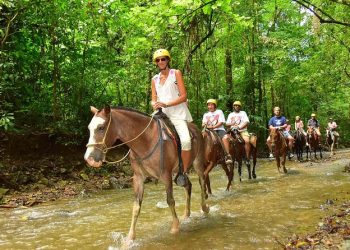 Horseback Riding